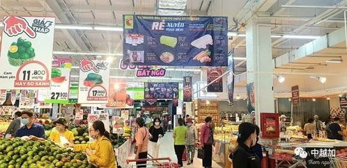 2020年越南商品零售和服务业收入约达5000万亿盾