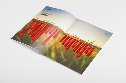 农业集团铂金制品零售产品包装展示